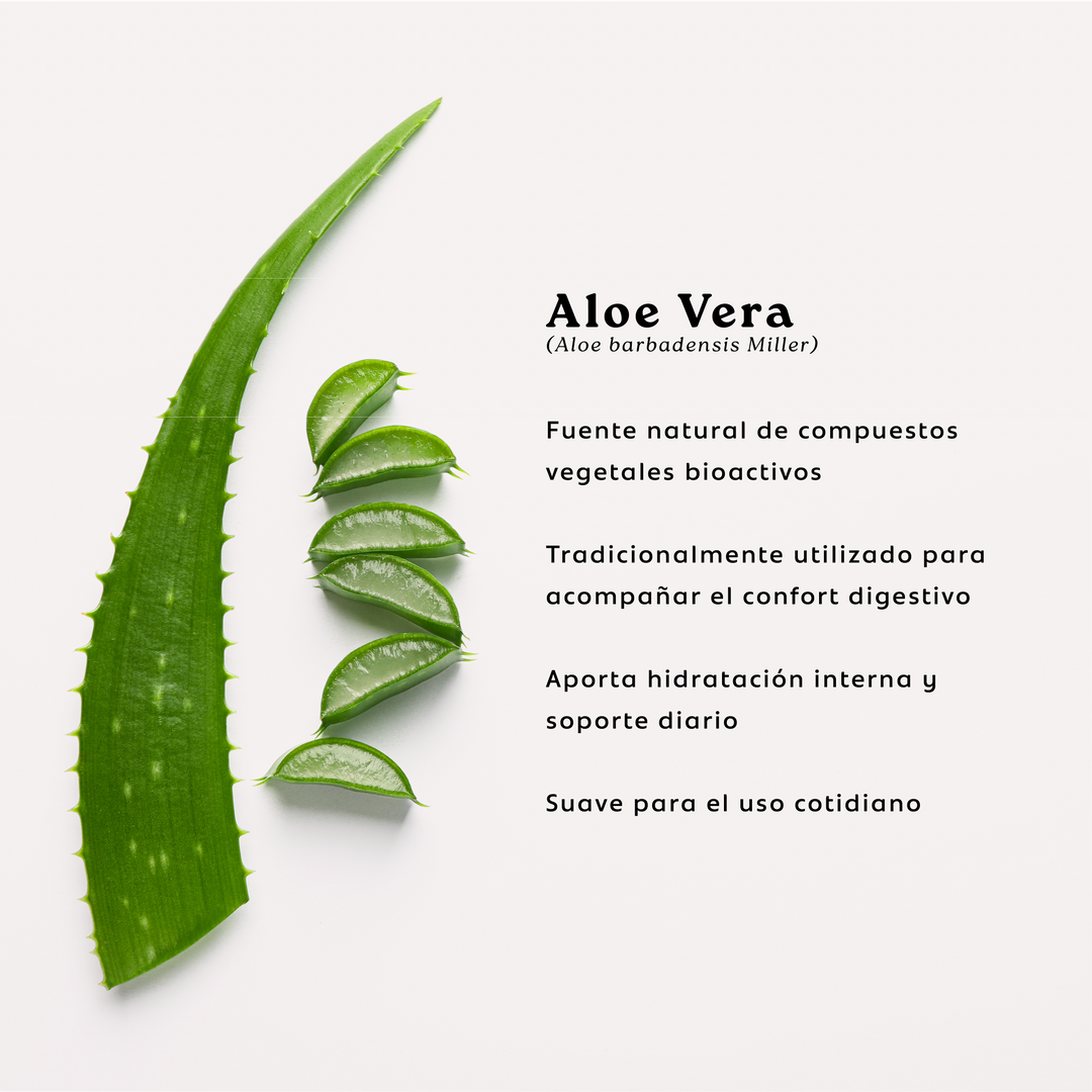 Aloe Vera