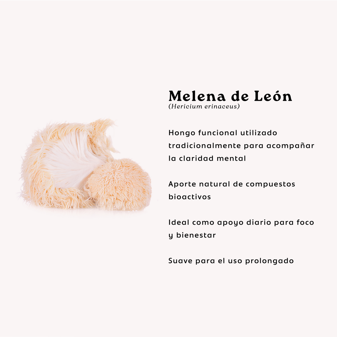 Melena de Leon + Probioticos 11 Cepas