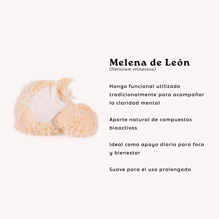 Melena de Leon + Probioticos 11 Cepas