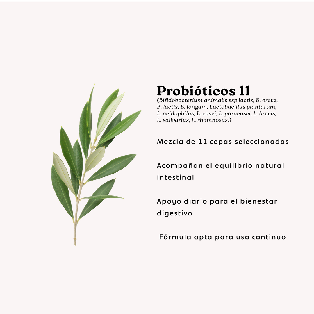 Probióticos 11 Cepas