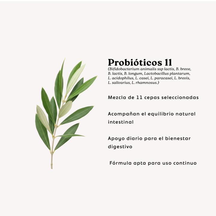 Probióticos 11 Cepas