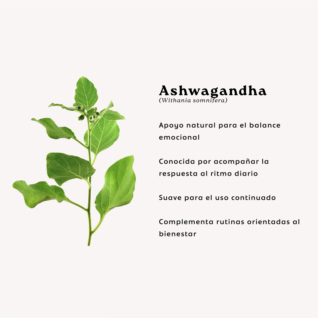 Melena de León + Ashwagandha | 60 Cápsulas