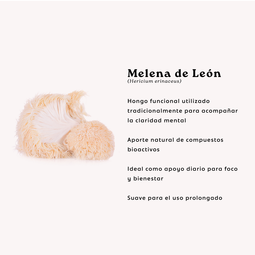 Melena de León + Ashwagandha | 60 Cápsulas