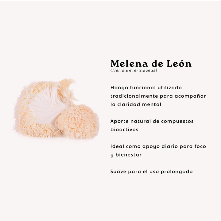 Melena de León + Ashwagandha | 60 Cápsulas